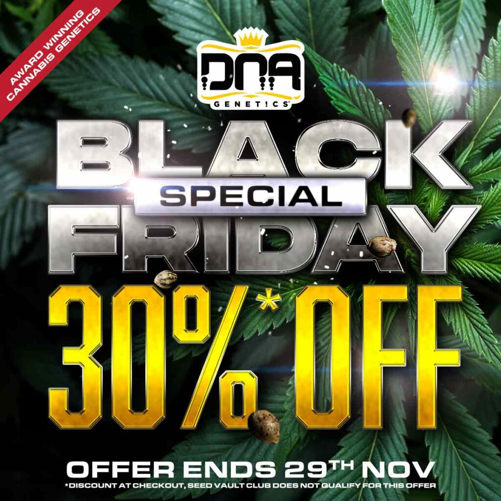 30% Black Friday Special