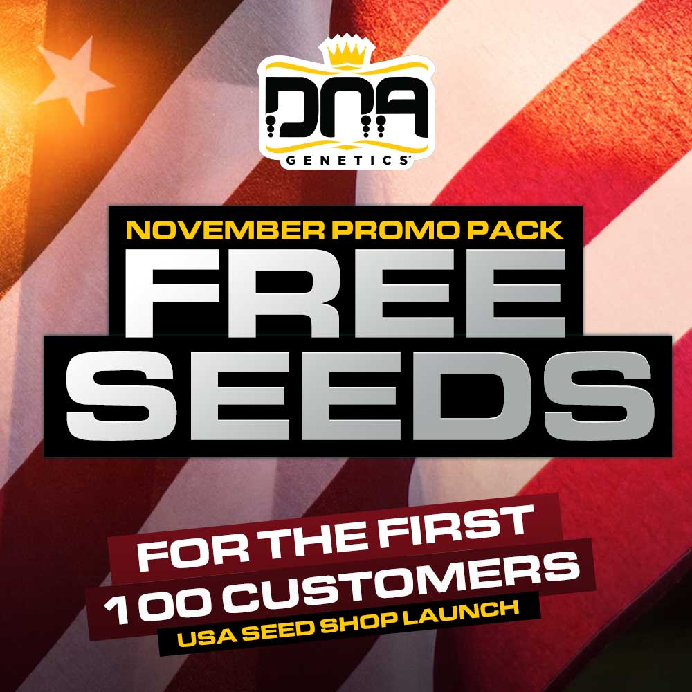 Free Seeds for November - First 100 Customers