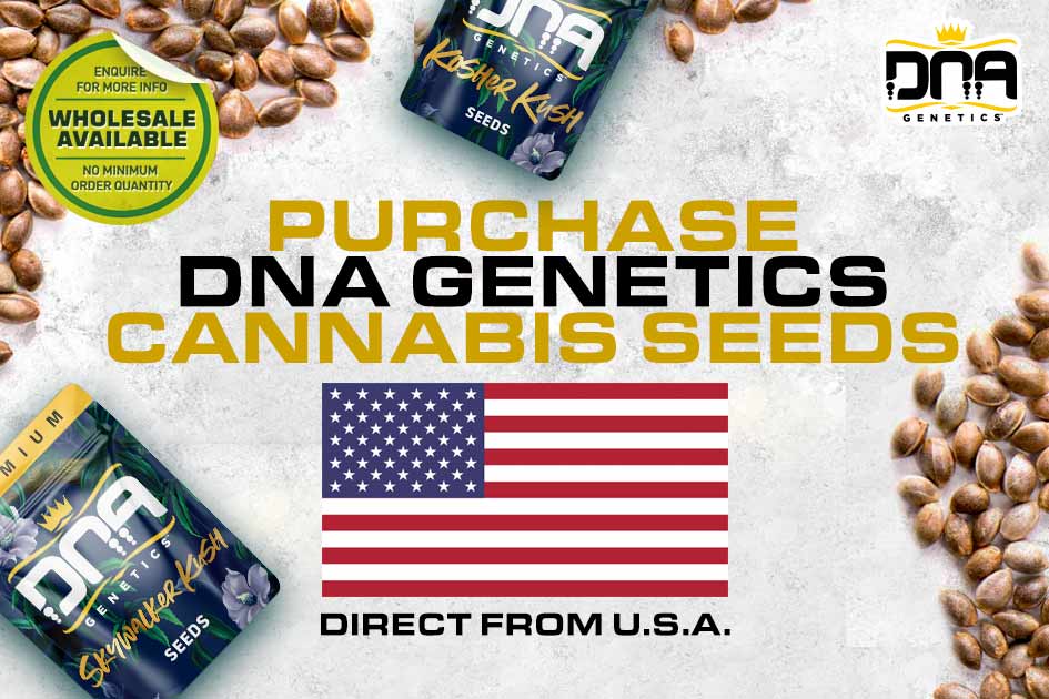 Purchase Cannabis Seeds in USA