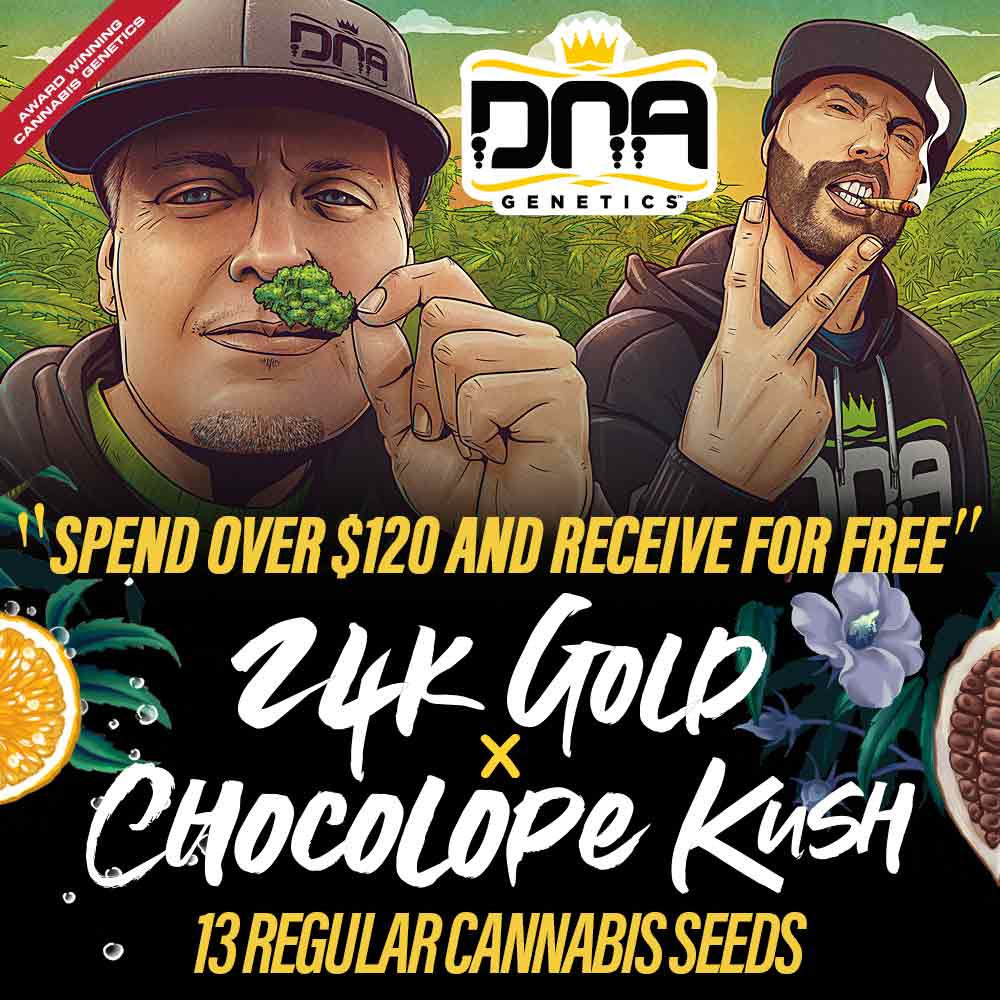 Free DNA Genetics Cannabis Seeds when you Spend Over $120