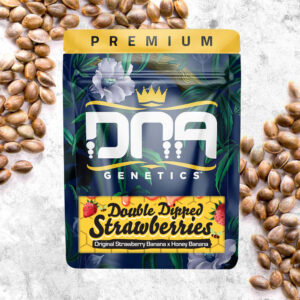DNA Genetics Double Dipped Strawberries